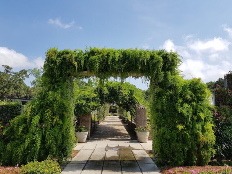 The New Orleans Botanical Garden