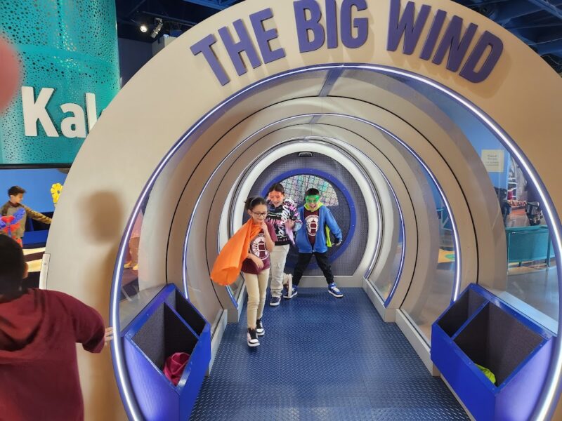 The DoSeum