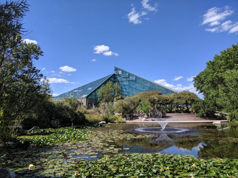 The Albuquerque Botanical Gardens