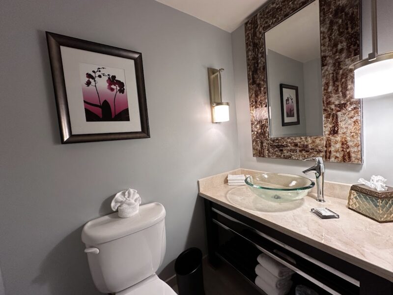 The Woodlands Waterway Marriott