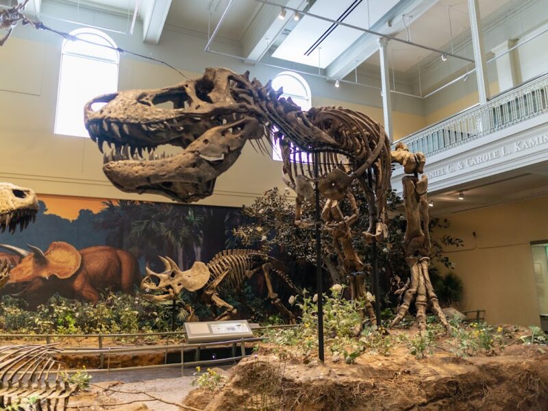 The Carnegie Library of Pittsburgh
