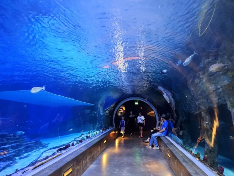 The Loveland Living Planet Aquarium