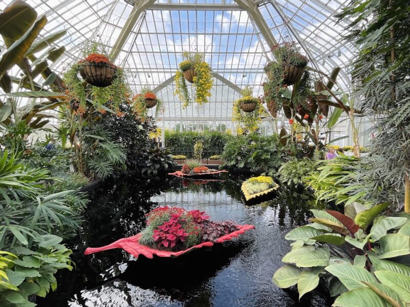 The Phipps Conservatory