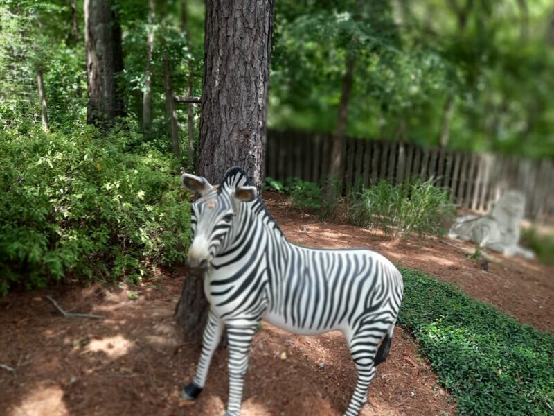 The Whimsical Garden