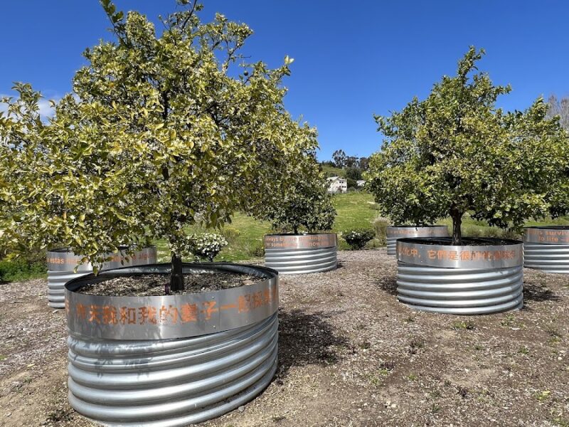 The Los Angeles State Historic Park