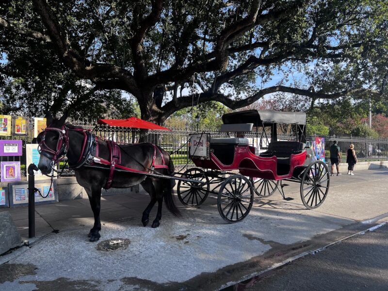 The Historic Carriage House
