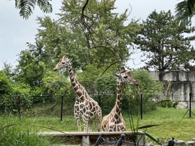 The Indianapolis Zoo