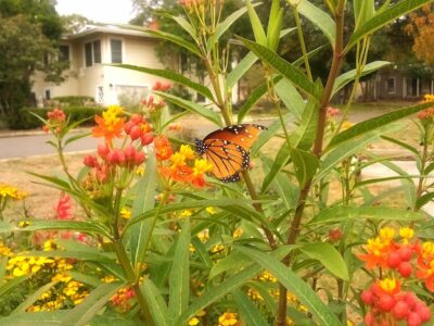 Alamo Heights Community Center