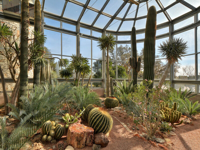 The Greenhouse at Driftwood