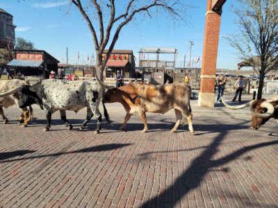 The Fort Worth Stockyards