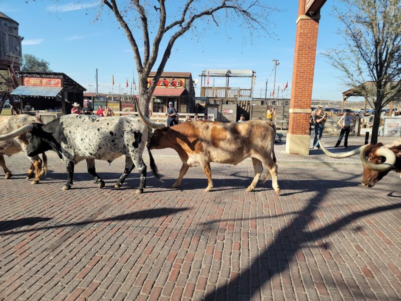 The Fort Worth Stockyards