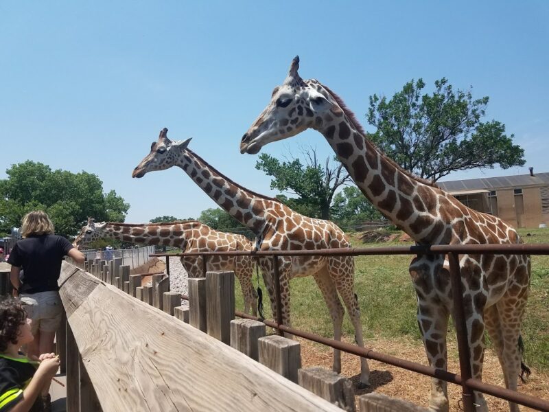 The Oklahoma City Zoo