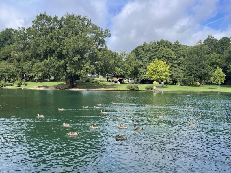 The Atrium at Freedom Park