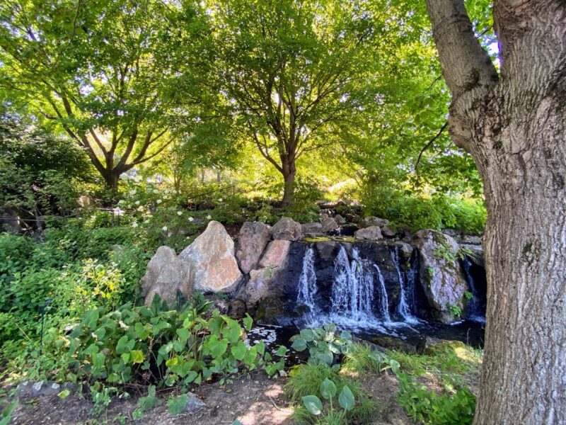 The Chicago Botanic Garden