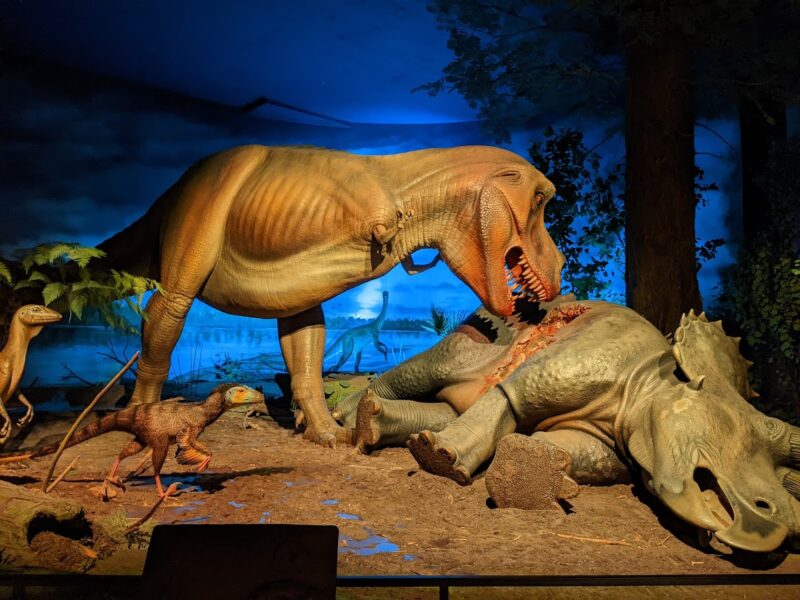 The Milwaukee Public Museum