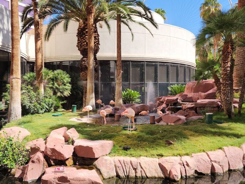 The Garden at The Flamingo