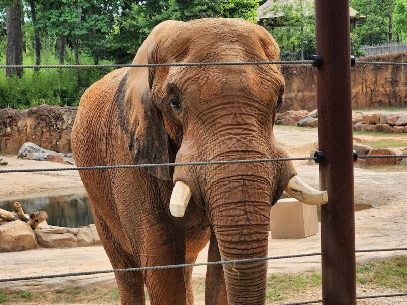 The Pavilion at Grant Park