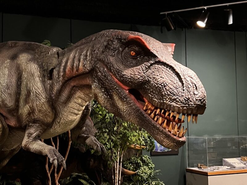 The Memphis Pink Palace Museum