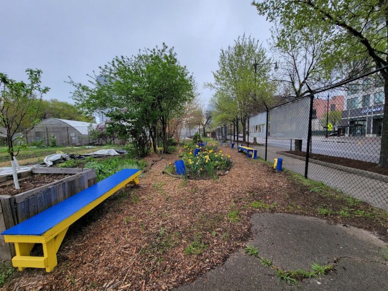 The Chicago Urban Garden