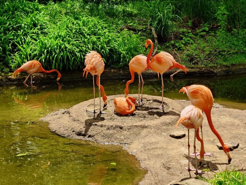 The Pittsburgh Zoo & PPG Aquarium