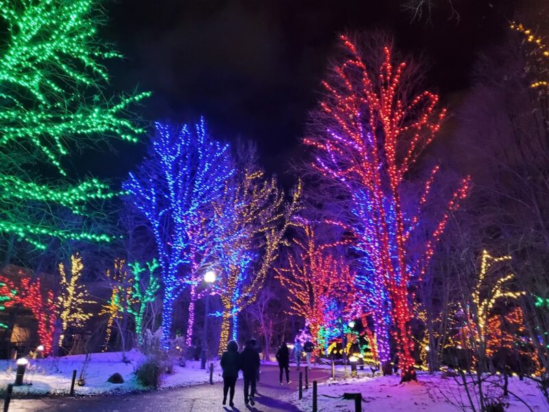 The Lincoln Park Zoo