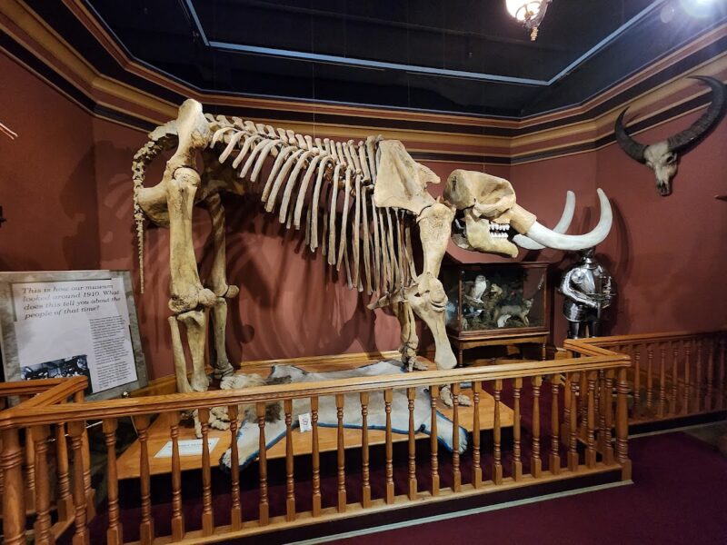 The Grand Rapids Public Museum