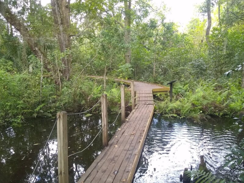 The Garden at the Jacksonville Landing