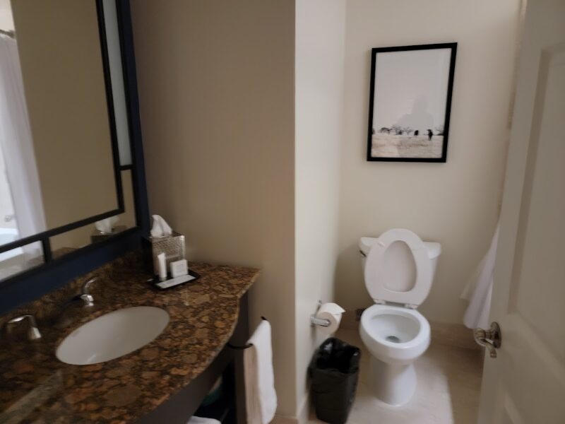 The Magnolia Hotel Houston