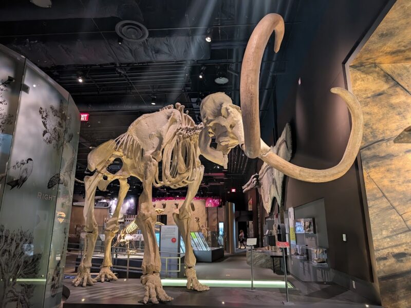 The Springs Preserve