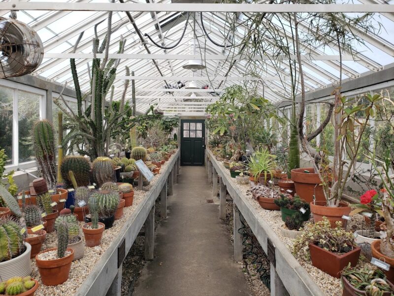 The New Orleans Botanical Garden