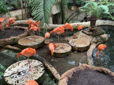 The Dallas World Aquarium