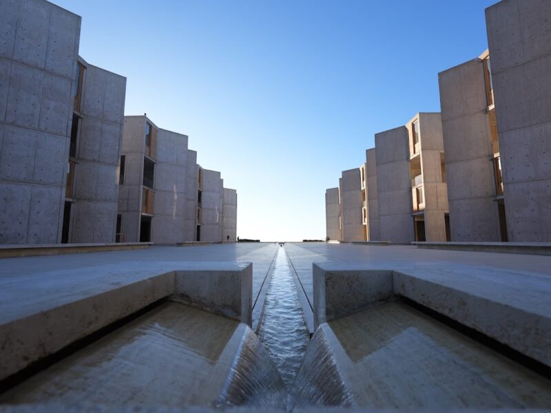The Salk Institute