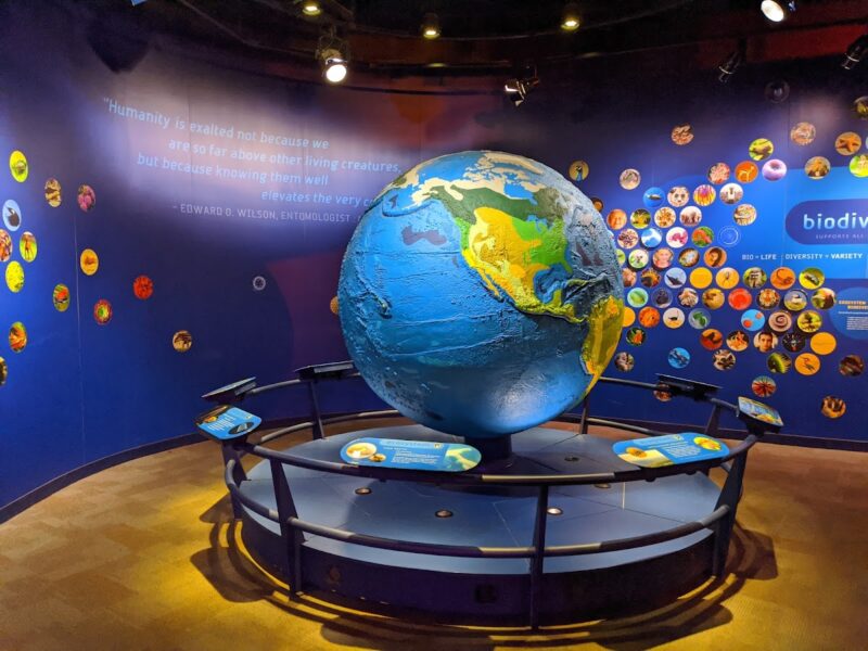 The Discovery Place Science