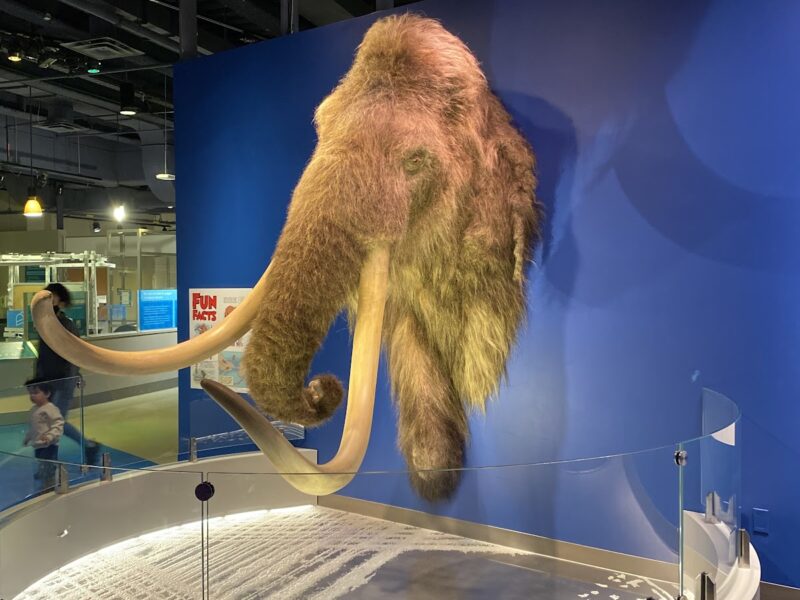 Liberty Science Center