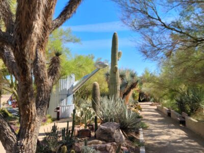 The Springs Preserve