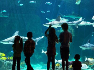 The Loveland Living Planet Aquarium
