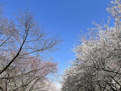 The Horticulture Center