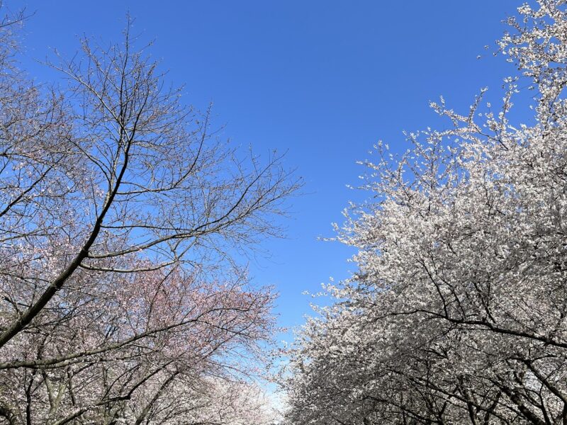 The Horticulture Center