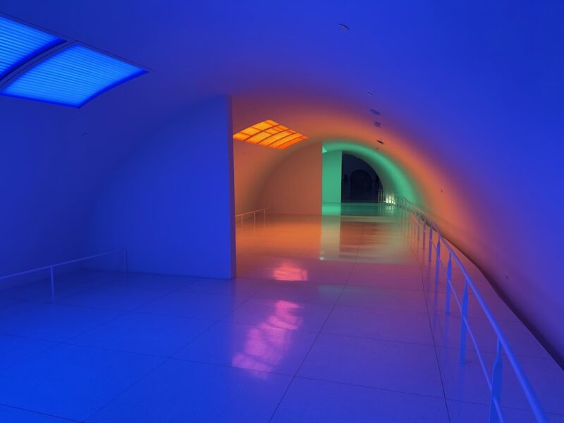 The Museum of Fine Arts, Houston