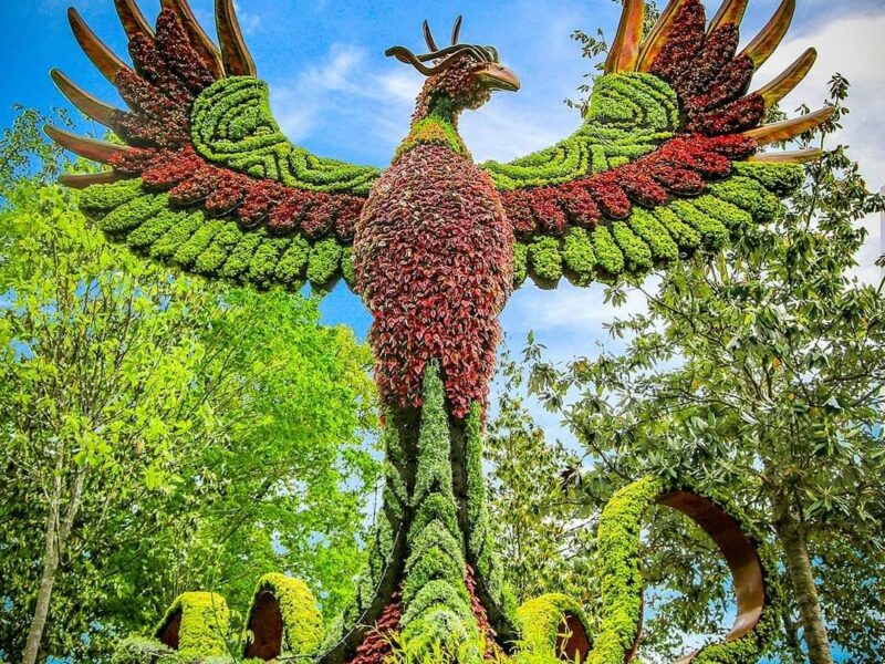 The Atlanta Botanical Garden