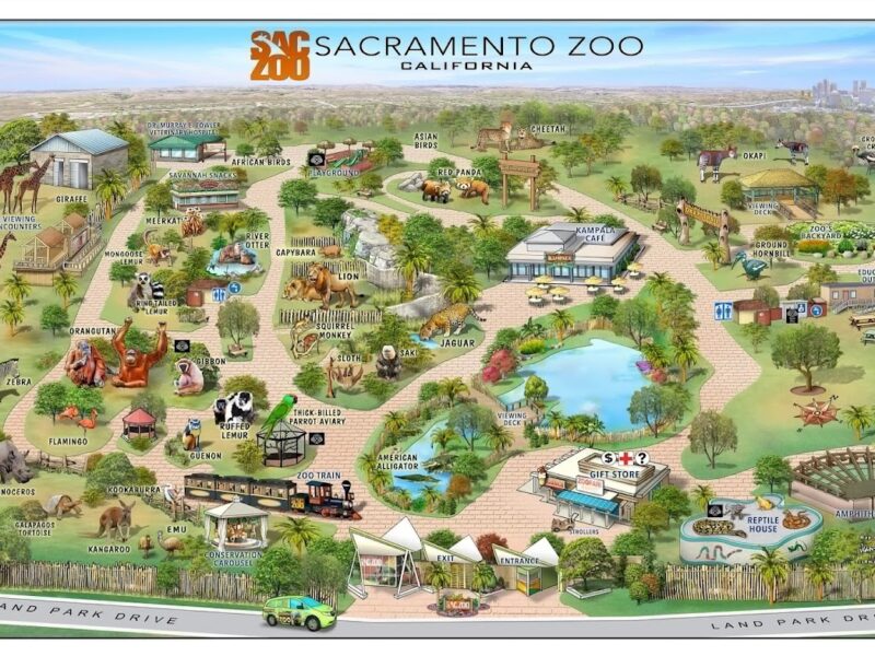 The Sacramento Zoo