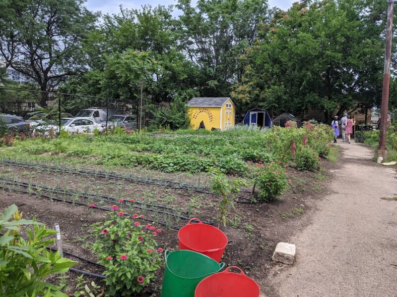 The Chicago Urban Garden