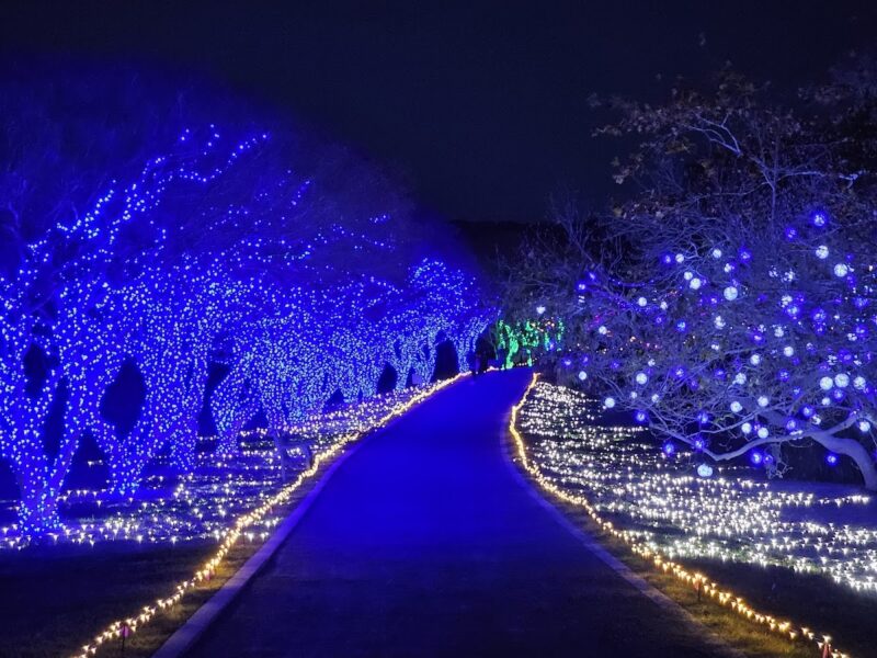 Norfolk Botanical Garden