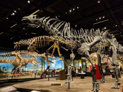 The Denver Museum of Nature & Science