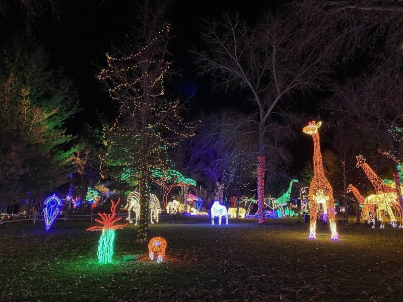 The Albuquerque Botanical Gardens