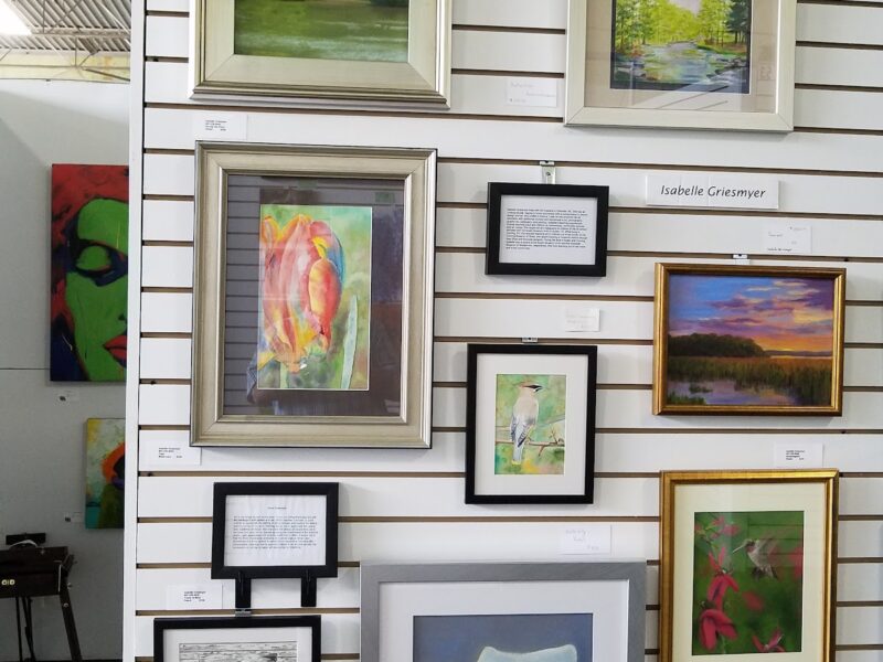 The Charlotte Art Collective