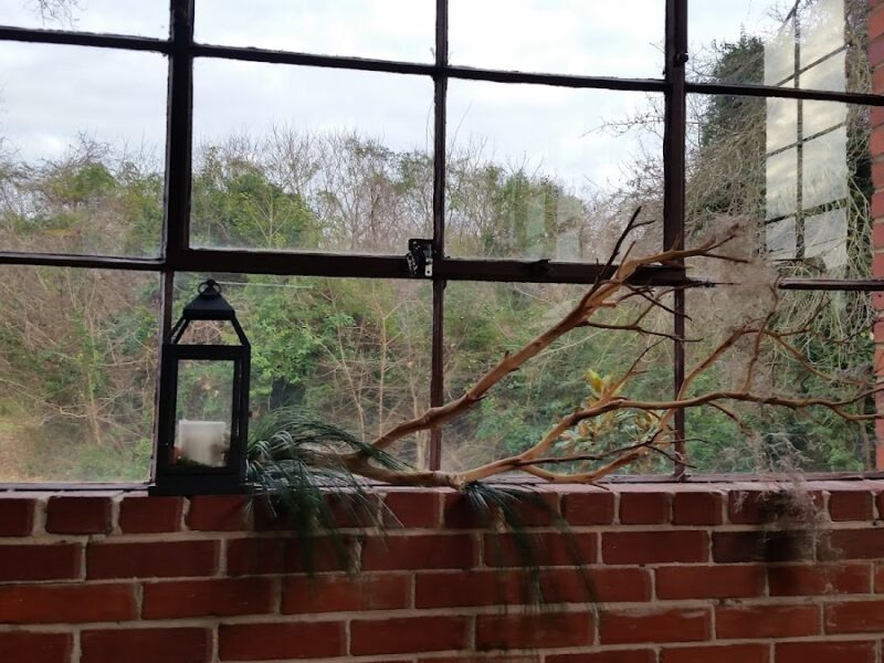 The Hall at Senate's End