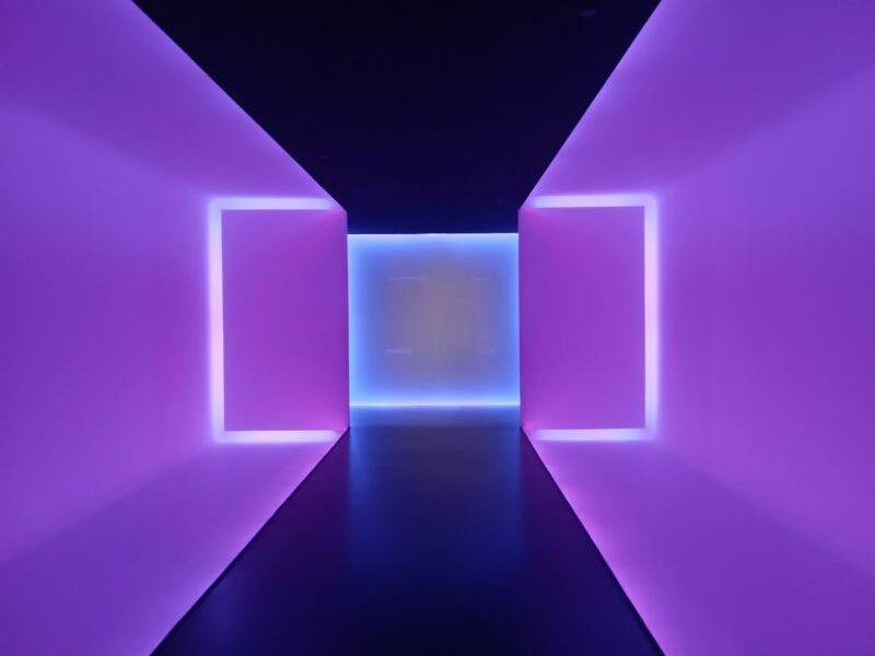 The Museum of Fine Arts, Houston