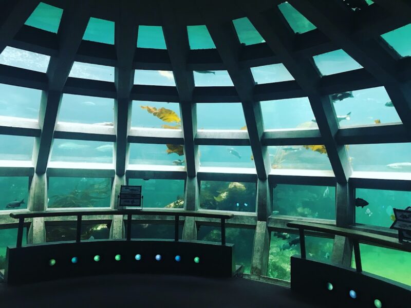 Seattle Aquarium