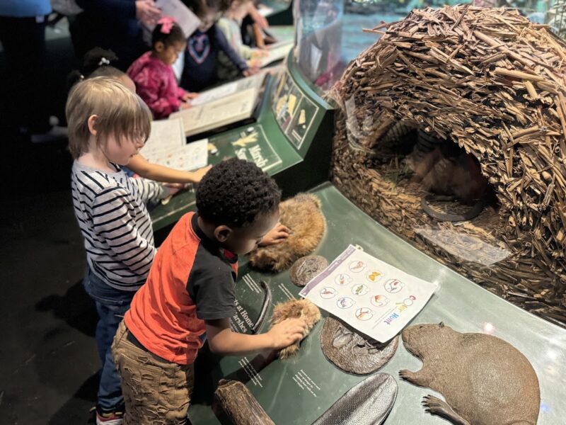 The Grand Rapids Public Museum